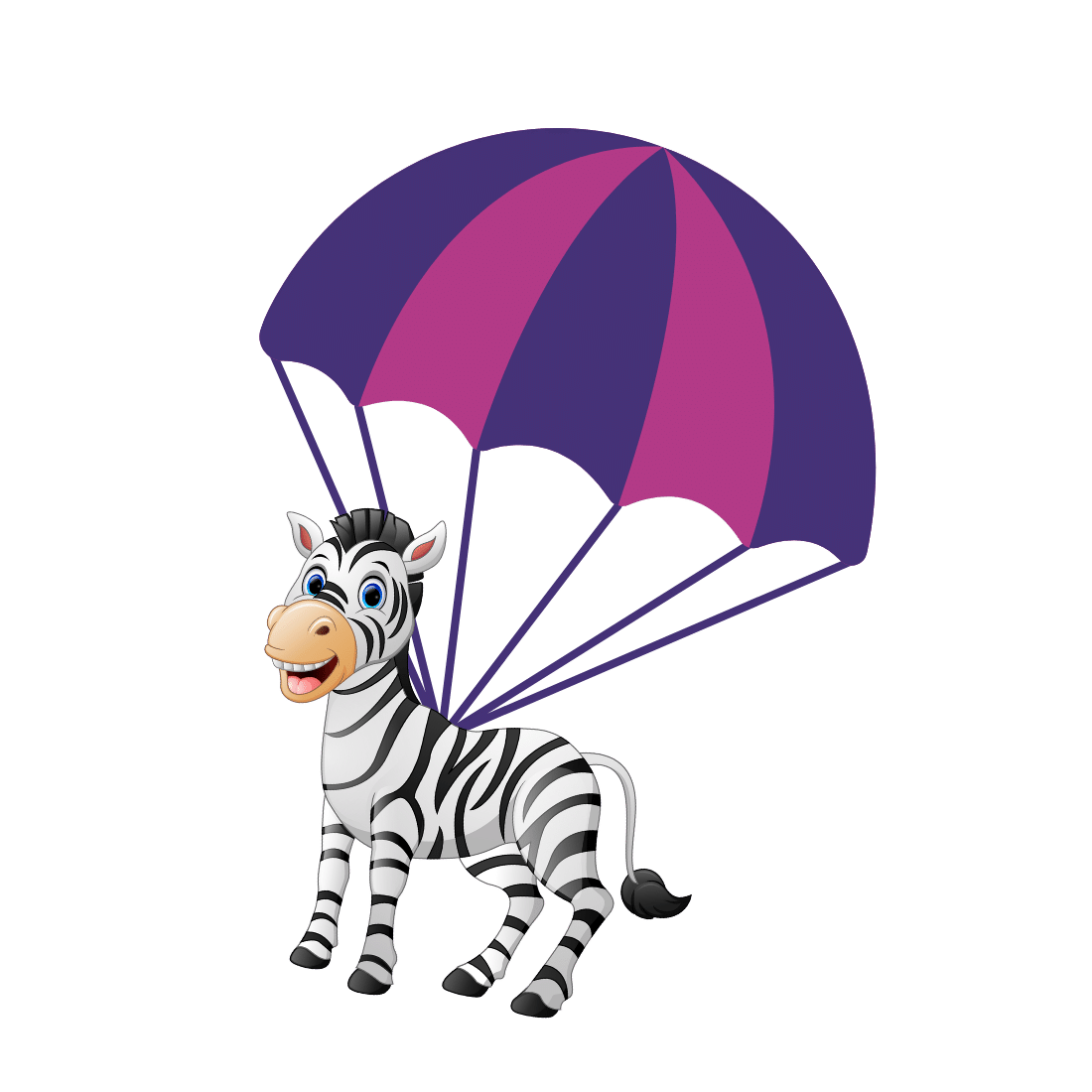 Zebra Drop (6)